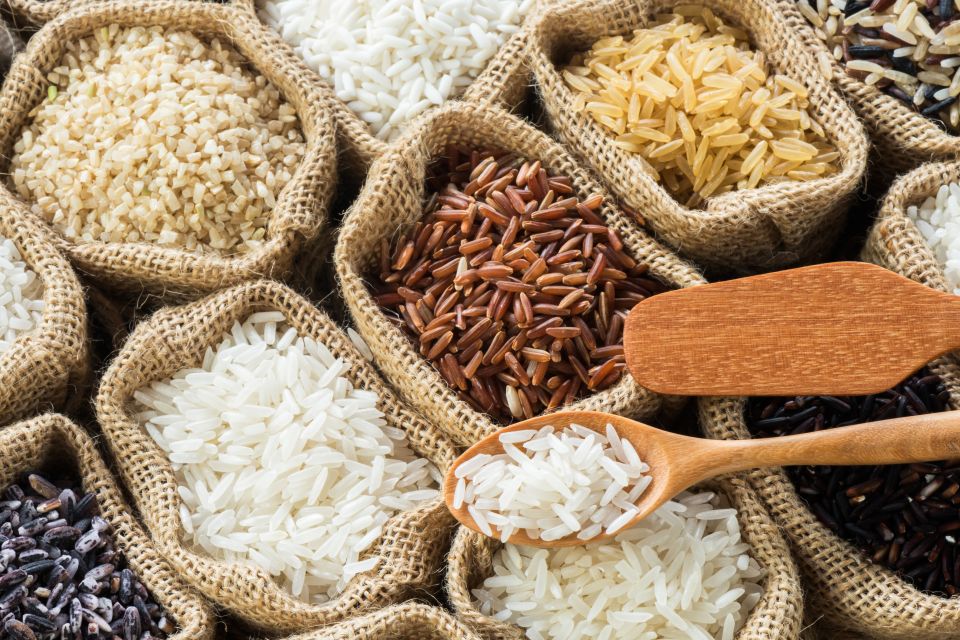 Rýže - anatomie, zpracování a druhy